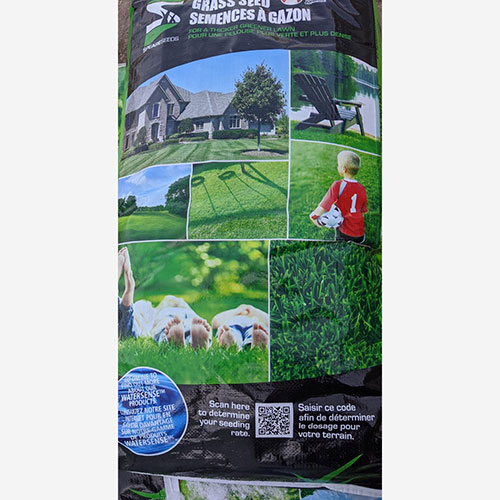 Premium jardin pelouse nachsaat professionnel 0,25 kg 